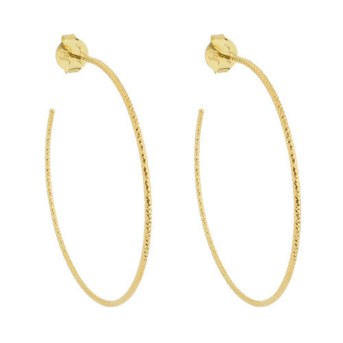 SE860LG 18K Gold Plated Hoops